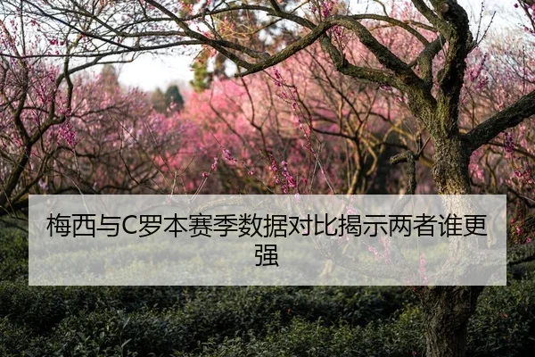 梅西与C罗本赛季数据对比揭示两者谁更强